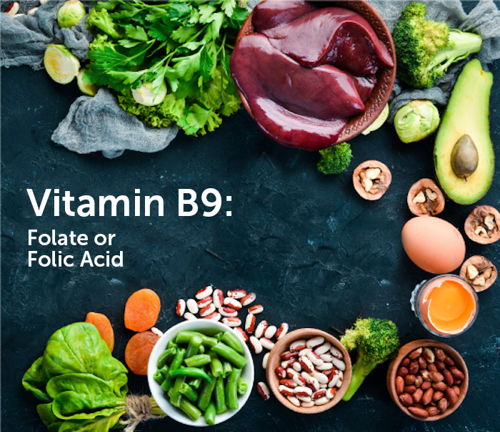 What You Need To Know About Folate (Vitamin B9) - Exercise Inc